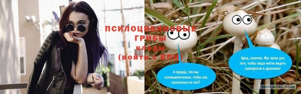 крисы Новодвинск