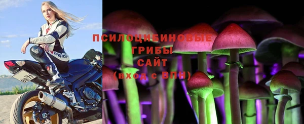 шишки Нязепетровск
