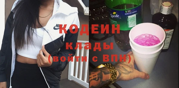 шишки Нязепетровск
