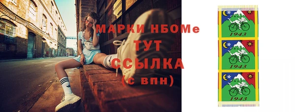 крисы Новодвинск