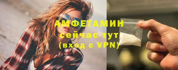 шишки Нязепетровск