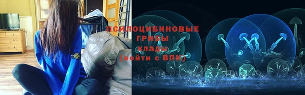 крисы Новодвинск