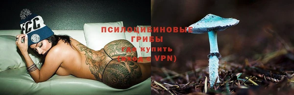 шишки Нязепетровск