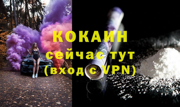 Альфа ПВП Бикин
