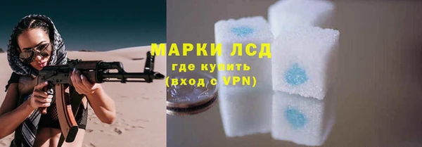 шишки Нязепетровск