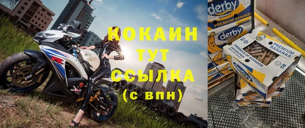 шишки Нязепетровск
