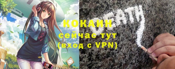 крисы Новодвинск