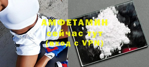 крисы Новодвинск