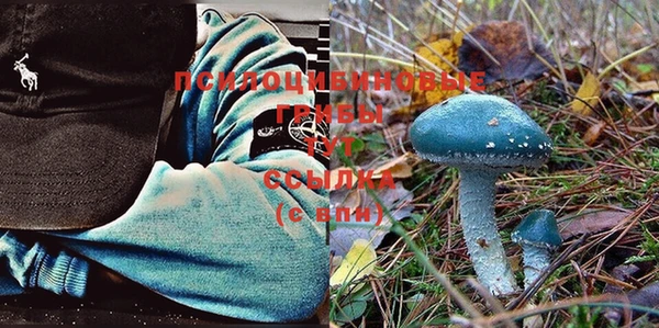 соль курить ск Нягань