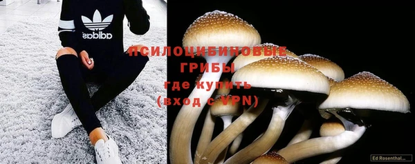 Альфа ПВП Бикин